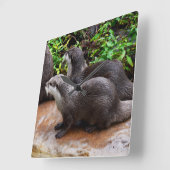 灰色の空腹のカワウソ、正方形の壁時計 スクエア壁時計 (傾斜)