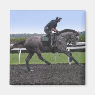 灰色の競走馬の磁石 マグネット