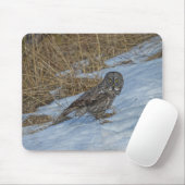 灰色の素晴らしフクロウと雪の野生動物ラプターの写真 マウスパッド (マウス)