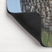 灰色の素晴らしフクロウと雪の野生動物ラプターの写真 マウスパッド (コーナー)