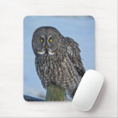 灰色の素晴らしフクロウと雪の野生動物ラプターの写真 マウスパッド (マウス)