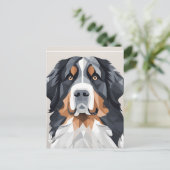 灰色の背景にベルネーゼの山犬 ポストカード (スタンド正面)