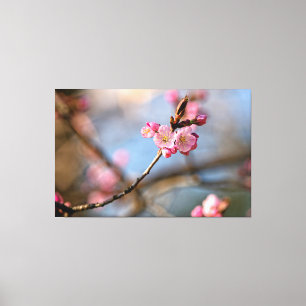 灰色の背景に映える涼しい桜の花 キャンバスプリント