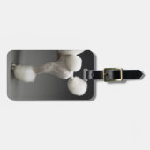 灰色の背景のプードルのHaunches、 ラゲッジタグ (正面横)