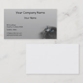 灰色の背景の青い目を持つ灰色のペルシャ 名刺 (正面/裏面)