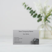 灰色の背景の青い目を持つ灰色のペルシャ 名刺 (スタンド正面)