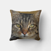 灰色の虎の猫の写真と暗い背景 クッション (裏面)