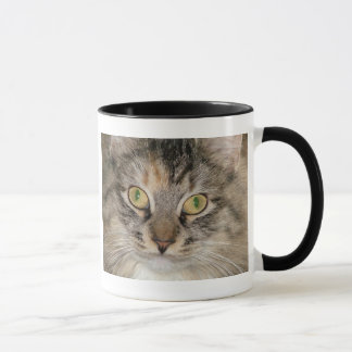 灰色の虎猫猫のマグ マグカップ