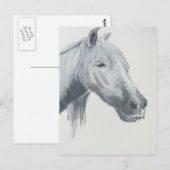 灰色の視線 ポストカード (正面/裏面)