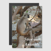 灰色の言語 – 休憩 (正面/裏面)