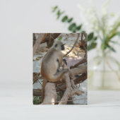 灰色の言語 – 休憩 ポストカード (スタンド正面)