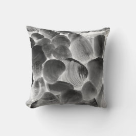 灰色の貝殻 クッション
