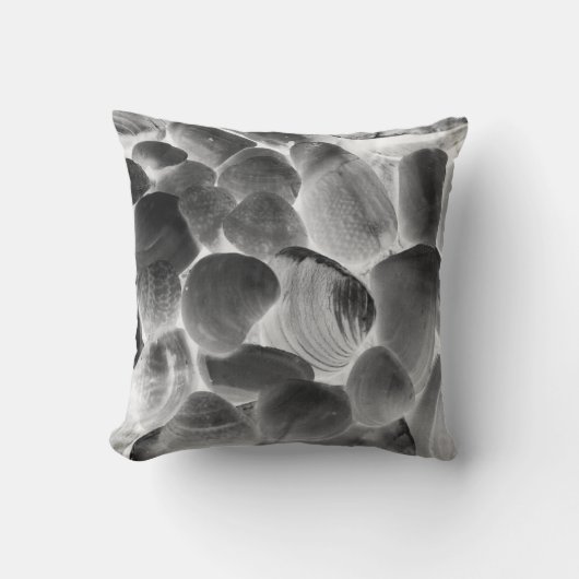 灰色の貝殻 クッション (正面)