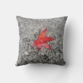 灰色の質感の道路に雨の赤い秋の葉 クッション (裏面)