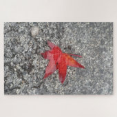 灰色の質感の道路に雨の赤い秋の葉 ジグソーパズル (横)