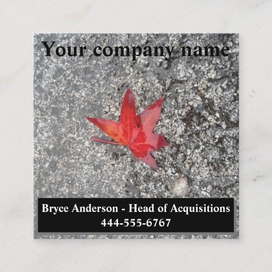 灰色の質感の道路に雨の赤い秋の葉 スクエア名刺 (正面)
