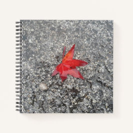 灰色の質感の道路に雨の赤い秋の葉 ノートブック