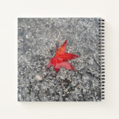 灰色の質感の道路に雨の赤い秋の葉 ノートブック (裏面)