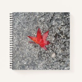 灰色の質感の道路に雨の赤い秋の葉 ノートブック