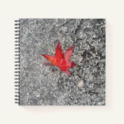 灰色の質感の道路に雨の赤い秋の葉 ノートブック (正面)