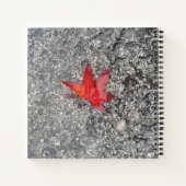 灰色の質感の道路に雨の赤い秋の葉 ノートブック (裏面)