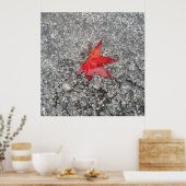 灰色の質感の道路に雨の赤い秋の葉 ポスター (キッチン)