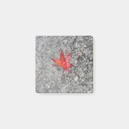 灰色の質感の道路に雨の赤い秋の葉 ポストイット