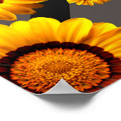 灰色の銀の花に美しい黄色のストライプ花 ポスター (角)