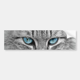 灰色の長い毛の猫 青緑の目 ペット 動物 バンパーステッカー