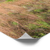 灰色の雲の砂丘とムーアースレイクの風景 ポスター (角)