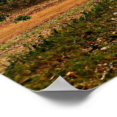 灰色の馬感動的テモシー聖書の聖句の神 ポスター (角)