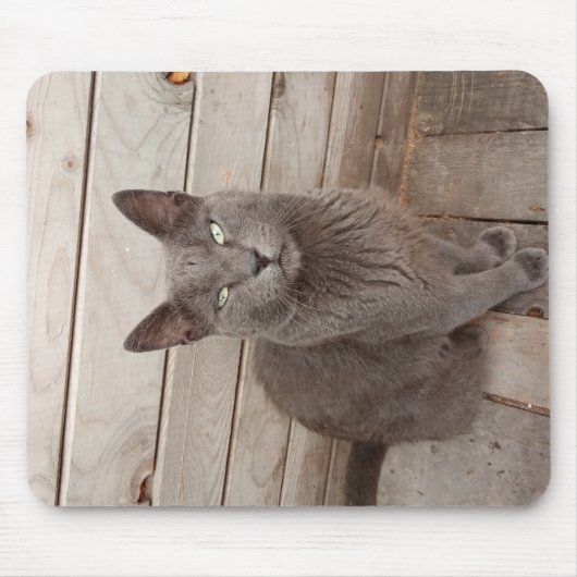 灰色の高貴な猫 マウスパッド (正面)
