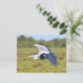 灰色の鳥が飛んでいる ポストカード (スタンド正面)