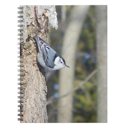 灰色の鳥の写真 ノートブック (正面)