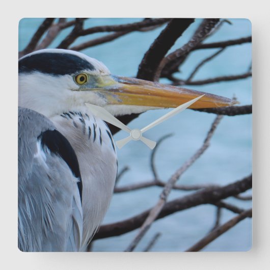 灰色の鷲 スクエア壁時計 (正面)