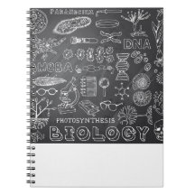 灰色の黒板の生物学科学の落書き