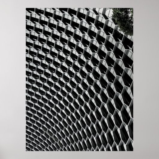 灰色ガラス屋根 ポスター (正面)