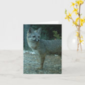 灰色キツネのブランクのメッセージカード カード (黄色い花)