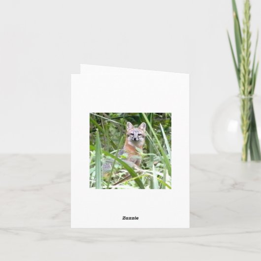 灰色キツネの挨拶状 カード (裏面)