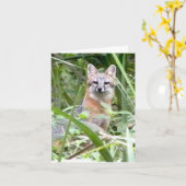 灰色キツネの挨拶状 カード (黄色い花)