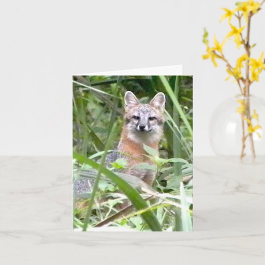 灰色キツネの挨拶状 カード (黄色い花)