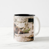 灰色グマのコーヒーカップ ツートーンマグカップ (正面右)