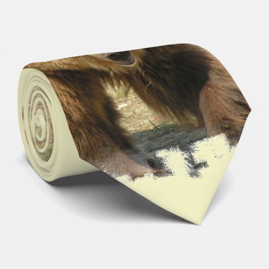 灰色グマのタイ ネクタイ (ロール)