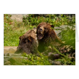 灰色グマの演劇の戦い
