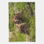 灰色グマの演劇の戦い キッチンタオル (縦)