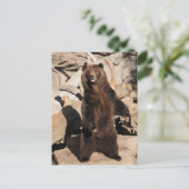 灰色グマの雌豚 ポストカード (スタンド正面)