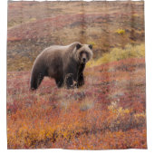 灰色グマはアラスカの秋色によって動きます シャワーカーテン (正面)