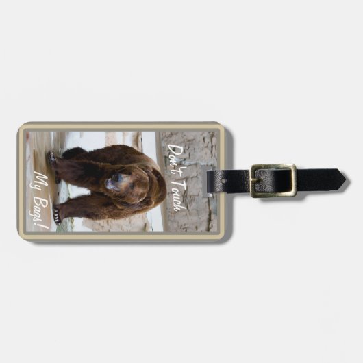 灰色グマは私のバッグの写真の荷物のラベルに触れません ラゲッジタグ (正面横)