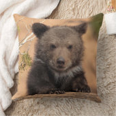 灰色グマカブス クッション (ブランケット)