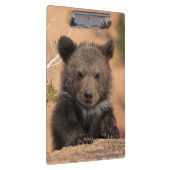 灰色グマカブス クリップボード (右)